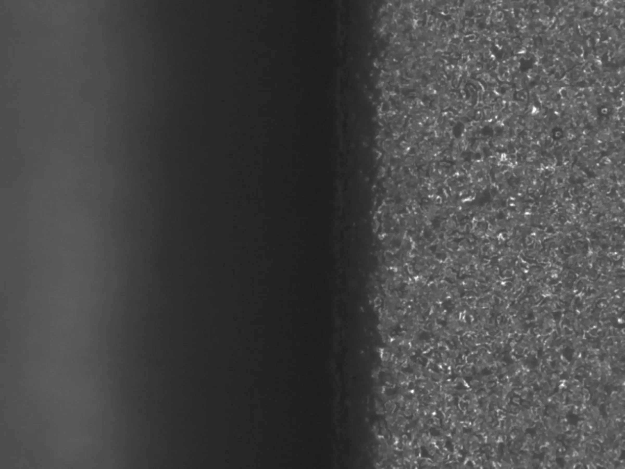 Autofocus Sensor